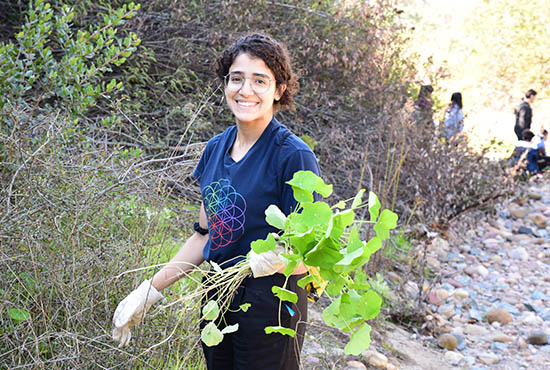 UC San Diego student and community member from International House, working in a nearby parks improvement project